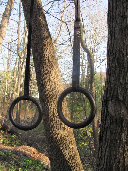 Two rings are hanging from tree.