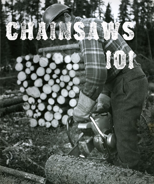 Man cutting a tree with chainsaws.
