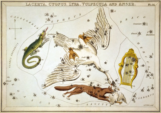 Fox, Lizard, Swans and Harp representing zodiac signs.