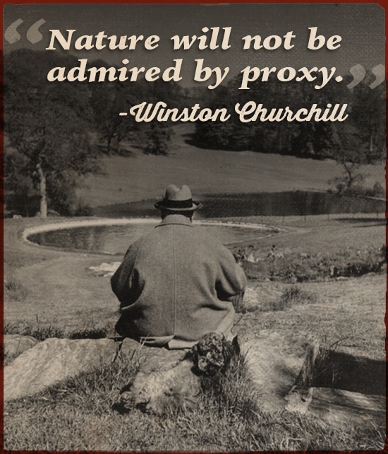 Winston Churchill quote nature will not be admired by proxy.