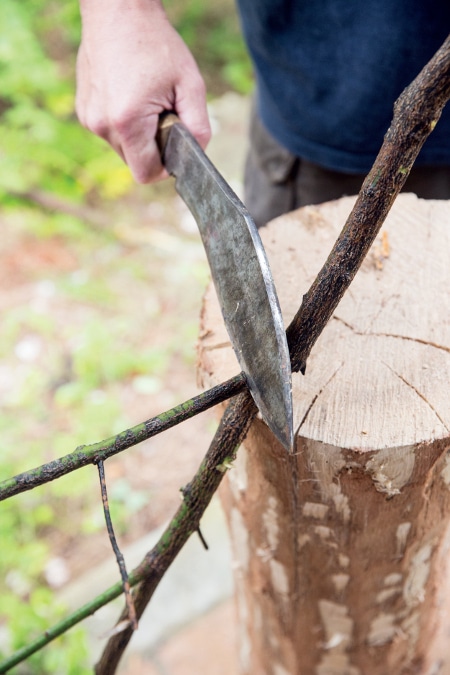 Making a Greenwood Spit Cutting Branch with large Knife.