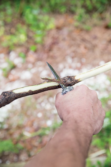 paring peeling cutting bark off small branch with knife
