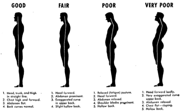 Postural exercise about physical training.