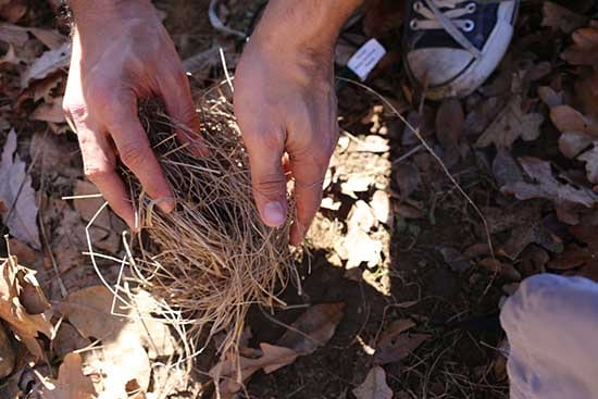 making fire without matches gathering tinder