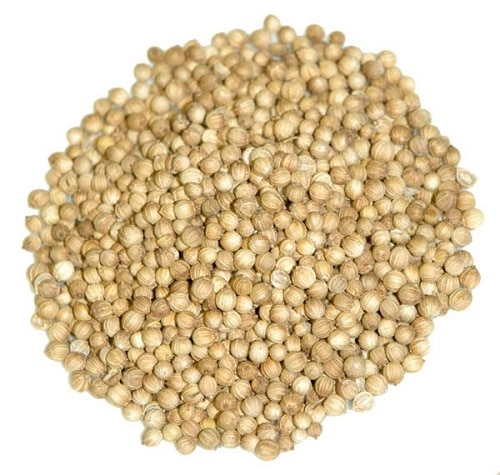 coriander seed