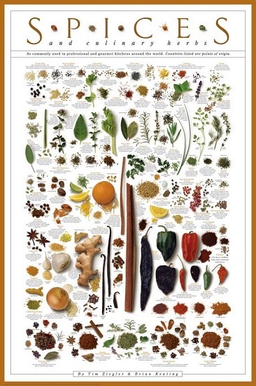 spices poster