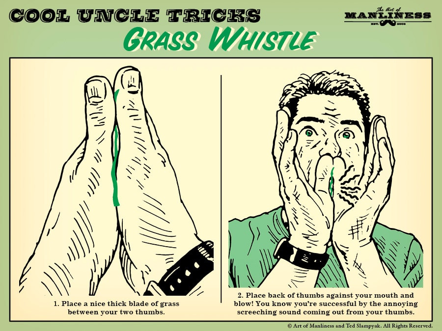 How to Make a Grass Whistle illustration.