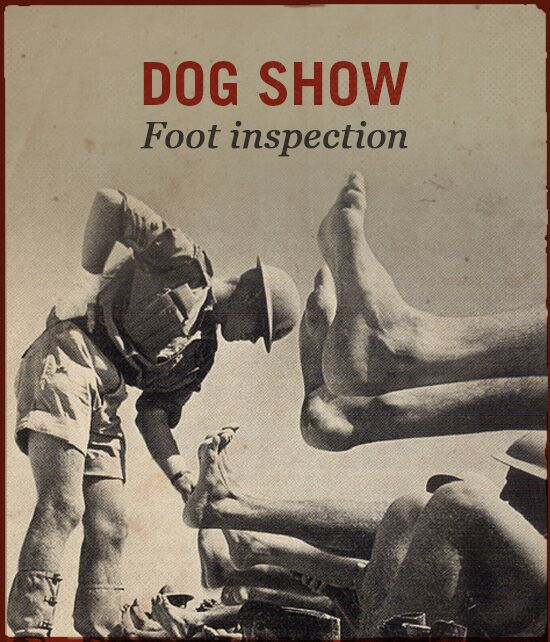 Dog show WWII slang foot inspection.