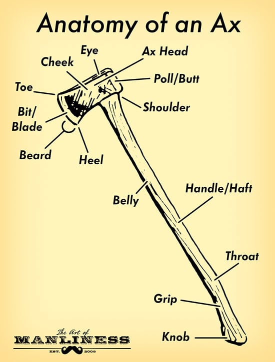 Ax Anatomy Parts illustration Diagram Head Handle.