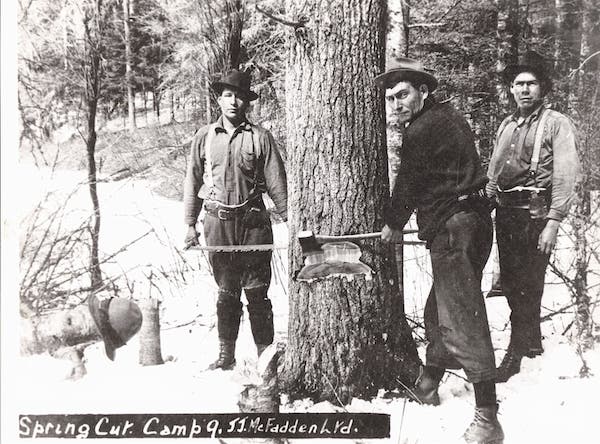 vintage Lumberjacks Using Ax to Chop Tree.