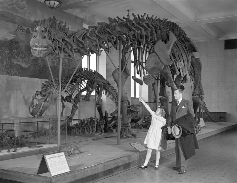 Vintage man with daughter looking at dinosaur skeleton in museum.