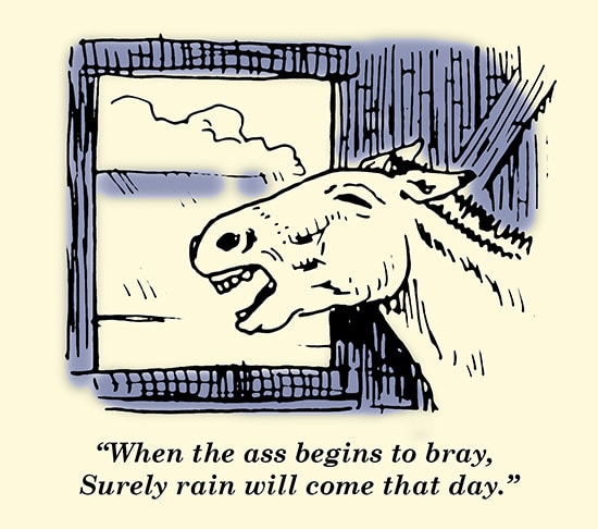 ass begins to bray weather proverb illustration 