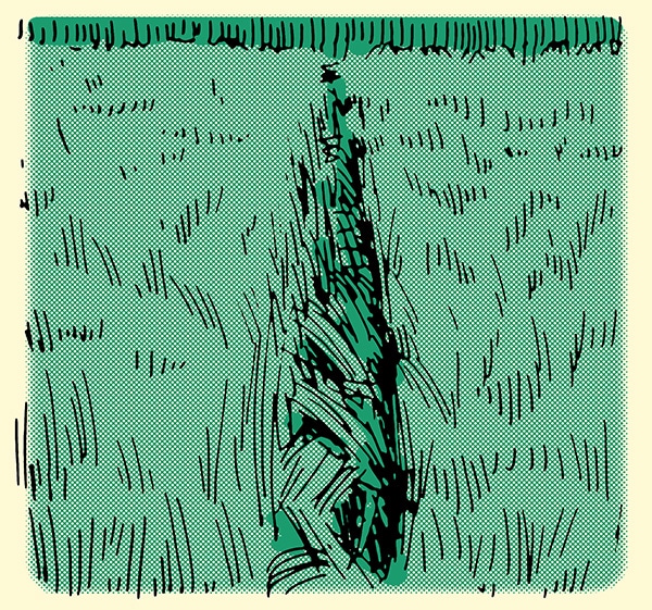 How to track a person grass disturbed in straight line illustration.