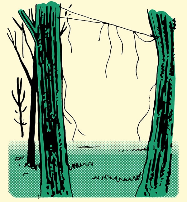 Broken spider web between two trees how to track a person illustration.
