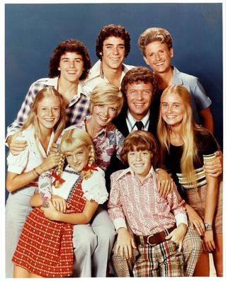 The brady bunch show illustration.