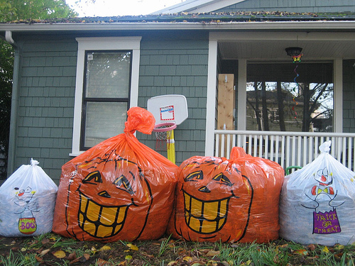 Halloween pumpkin leaf bags.