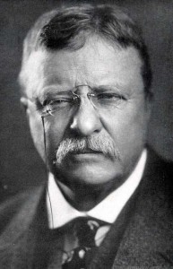 Theodore Roosevelt portrait teddy with glasses looking tough.