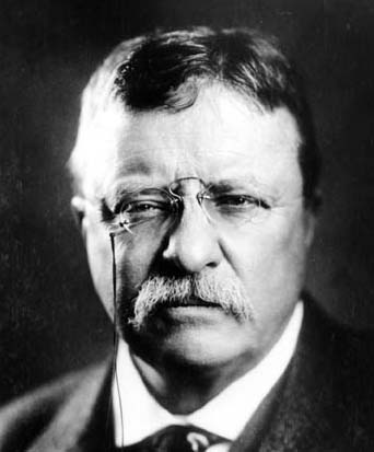 Teddy Roosevelt mustache famous manliest facial hair.