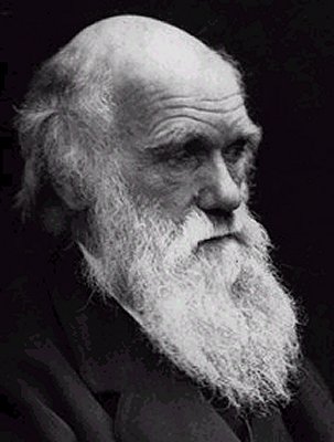 Elderly Charles Darwin beard famous facial hair.