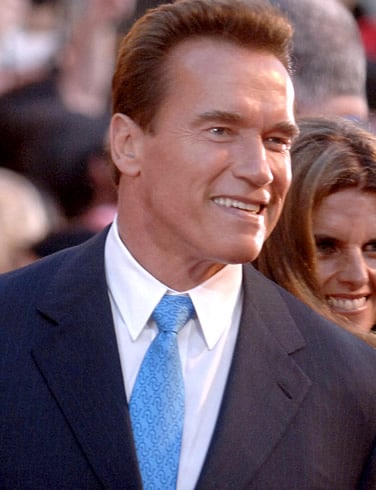 Arnold Schwarzenegger portrait.