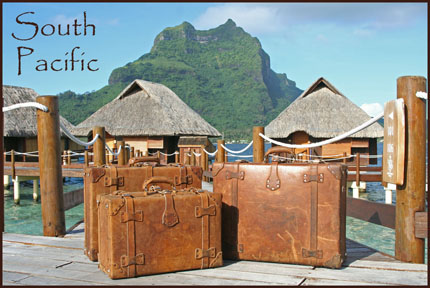 Leather suitcase in south pacific illustration.