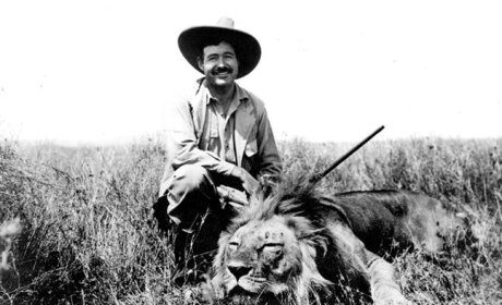 A man discovering a lost genre through his encounter with a dead lion during his Safari stories.