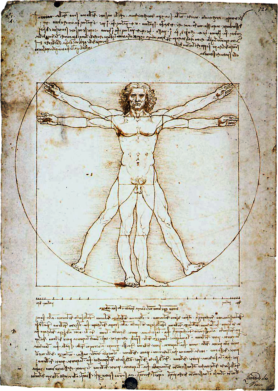 Vitruvian man illustration from renaissance old book page.