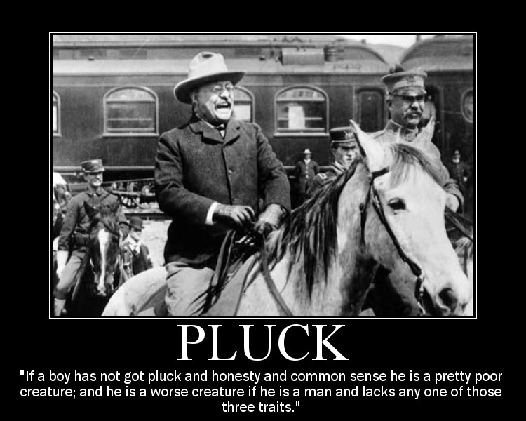 Motivational quote about Pluck by Theodore Roosevelt.