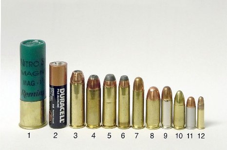 Comparison of Handgun cartridges shotgun shell sizes.
