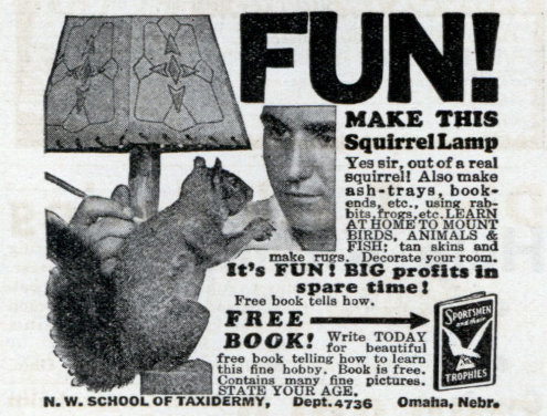 Vintage Squirrel Lamp taxidermy advertisement.