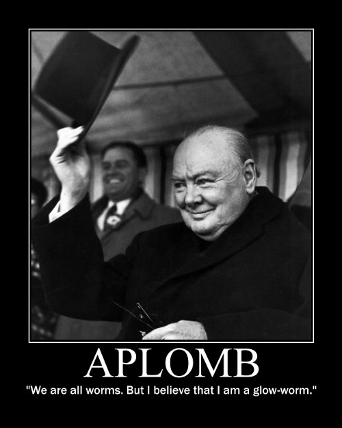 A motivational quote about Aplomb by Winston Churchill.