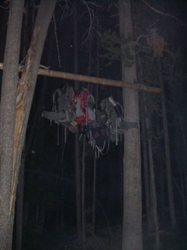 Backpacks hanging on a plank in the forest.