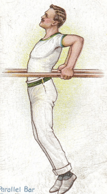 Illustration of parallel bar dip gymnast.