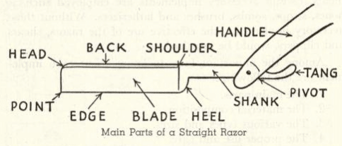 Illustration of razor anatomy. 