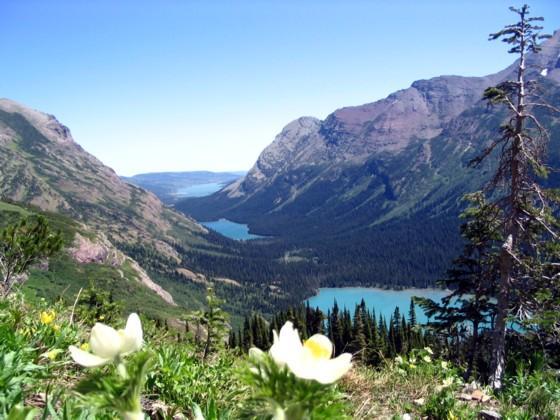 Glacier and national park's view from top.