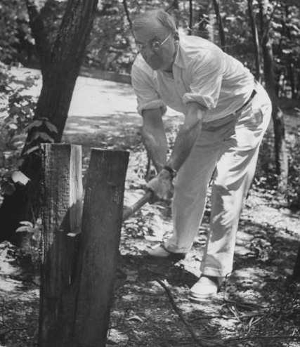 An old black and white photo capturing a man splitting firewood by cutting down a tree.