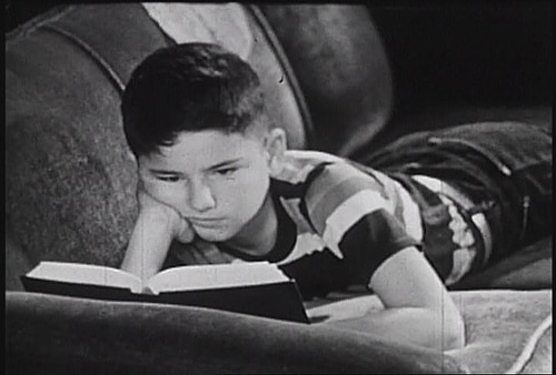 Boy reading a book while lying on sofa.