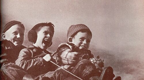 Three boys enjoying a sled ride.