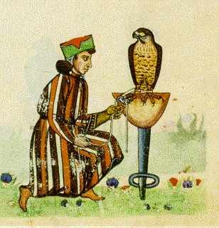 Falconry court with man illustration.