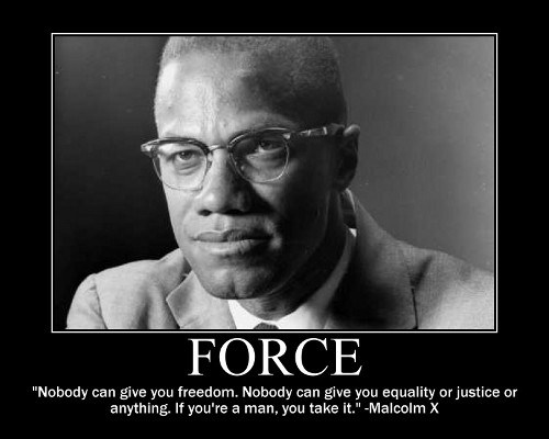 A motivational quote about force by Malcolm.