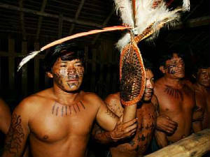 Men holding bullet ant glove in hands.