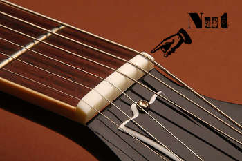 Strings of guitar illustration.