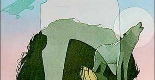The cover of a book featuring a man with a bird in his head, conveying teachings on wilderness survival.