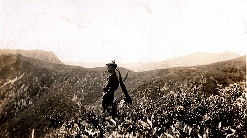 A man standing on top of a mountain, exhibiting greatness and embracing the simplicity of nature in this old photograph.