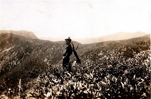 A man standing on top of a mountain, exhibiting greatness and embracing the simplicity of nature in this old photograph.