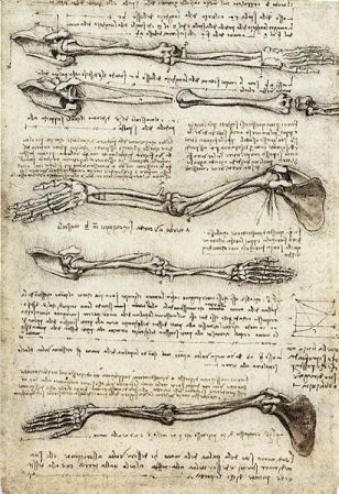 Da Vinci notebook about human anatomy. 