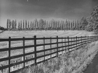 A black and white photo of a fence in a field, where the grass is greener on the other side.