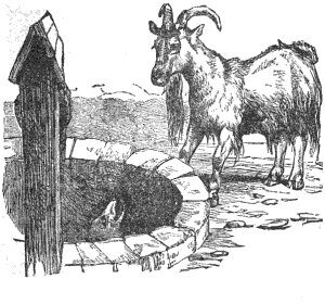 The fox and the goat, inspired by Aesop's Fables.