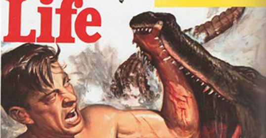 The life magazine cover features a man wrestling an alligator.