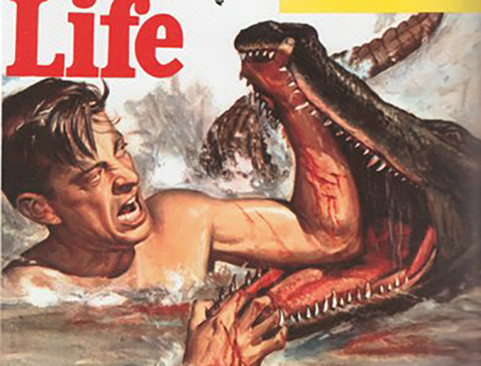 The life magazine cover features a man wrestling an alligator.